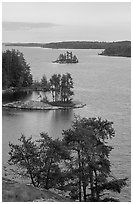 Islets and conifers, Anderson bay. Voyageurs National Park, Minnesota, USA. (black and white)