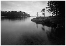 Windmill Rock Cove and trees. Voyageurs National Park ( black and white)