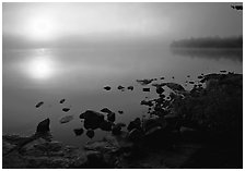 Sunrise and morning fog, Kabetogama lake near Woodenfrog. Voyageurs National Park, Minnesota, USA. (black and white)