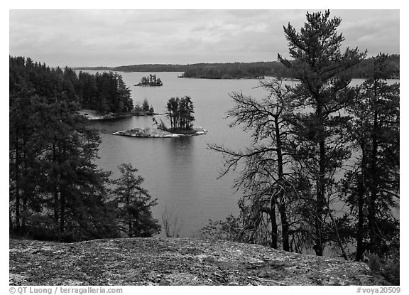 Islet and trees, Anderson Bay. Voyageurs National Park (black and white)