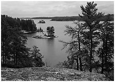 Islet and trees, Anderson Bay. Voyageurs National Park, Minnesota, USA. (black and white)