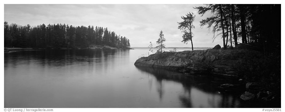 Forested cove. Voyageurs National Park (black and white)