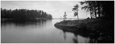 Forested cove. Voyageurs National Park (Panoramic black and white)