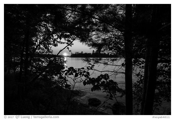 Sunset through trees, Kabetogama Lake. Voyageurs National Park (black and white)