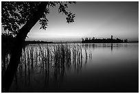 Grasses and Bittersweet Island at sunset, Kabetogama Lake. Voyageurs National Park ( black and white)