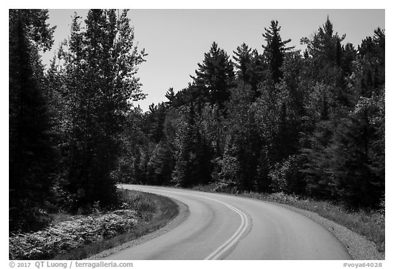 Road, Ash River. Voyageurs National Park (black and white)