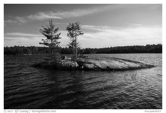 Islet, Grassy Bay. Voyageurs National Park (black and white)