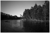 Forest on lakeshore edge, Grassy Bay. Voyageurs National Park ( black and white)