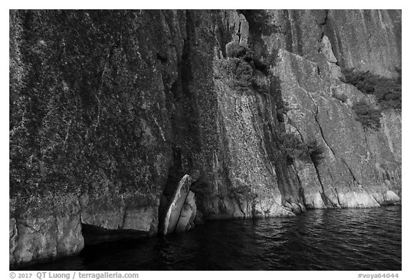 Cliff base, Grassy Bay. Voyageurs National Park (black and white)