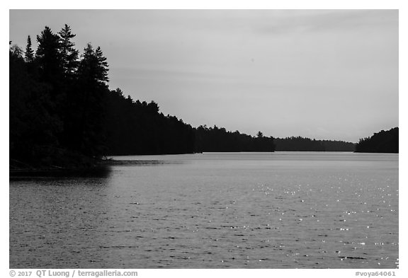 Mica Bay. Voyageurs National Park (black and white)