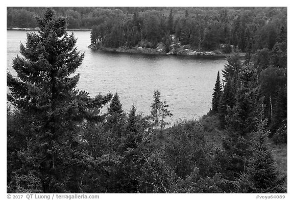 Peary Lake from overlook. Voyageurs National Park (black and white)