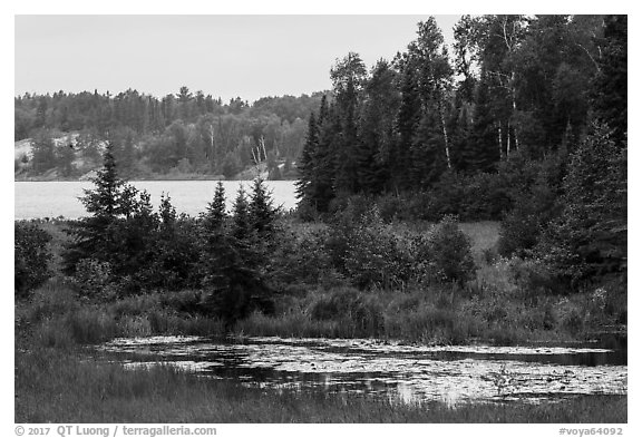 Pond and Peary Lake. Voyageurs National Park (black and white)