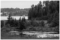 Pond and Peary Lake. Voyageurs National Park ( black and white)
