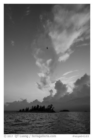 Bird, islets and clouds at sunset, Rainy Lake. Voyageurs National Park (black and white)