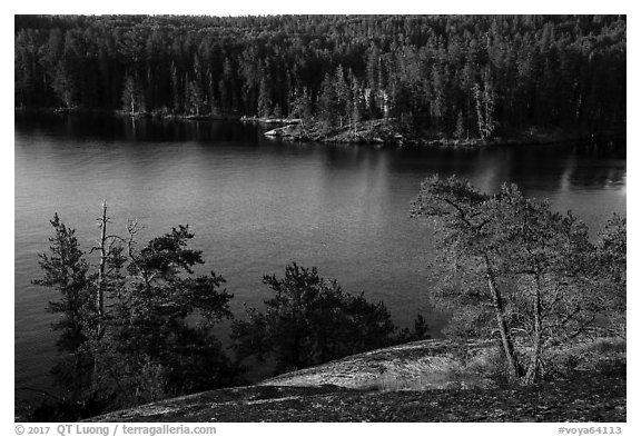 Granite rocks and trees above Anderson Bay. Voyageurs National Park (black and white)