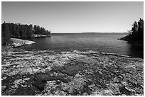 Mosses on granite slab, Windmill Rock Cove. Voyageurs National Park ( black and white)