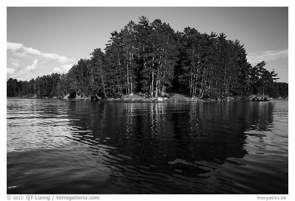 Forest reflections, Sand Point Lake. Voyageurs National Park (black and white)