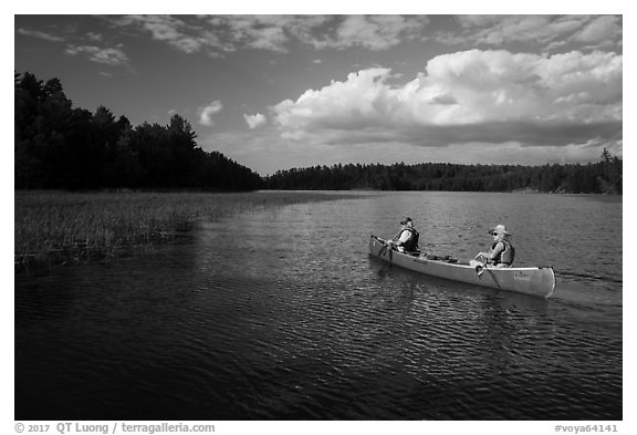 Canoe and aquatic grasses, Sand Point Lake. Voyageurs National Park (black and white)
