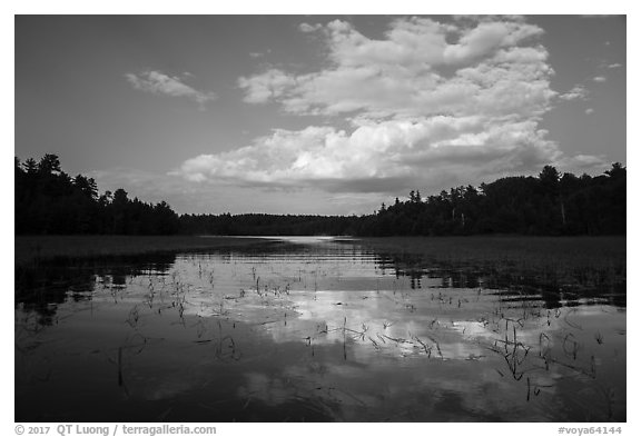 Reflections in glassy water of small arm of Sand Point Lake. Voyageurs National Park (black and white)
