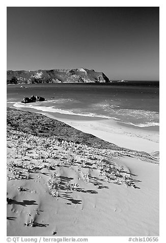 Sand dunes and Cuyler Harbor, afternoon, San Miguel Island. Channel Islands National Park, California, USA.