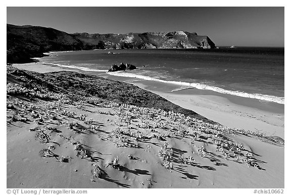 Sand dunes and Cuyler Harbor, afternoon, San Miguel Island. Channel Islands National Park, California, USA.