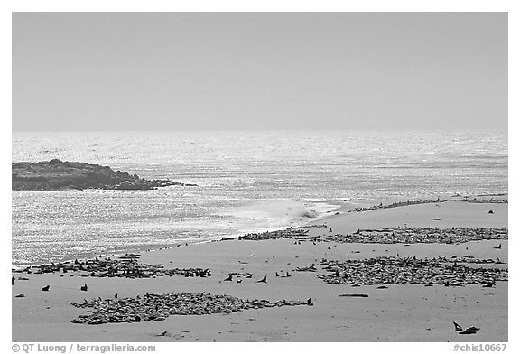 Point Bennett, mid-day, San Miguel Island. Channel Islands National Park, California, USA.