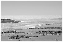 Point Bennett, mid-day, San Miguel Island. Channel Islands National Park ( black and white)