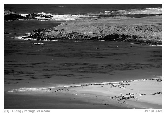 Point Bennet and rookeries, mid-day, San Miguel Island. Channel Islands National Park (black and white)