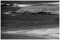 Point Bennet and rookeries, mid-day, San Miguel Island. Channel Islands National Park, California, USA. (black and white)