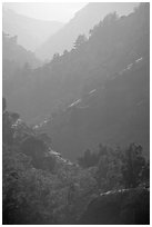 Ridges, Santa Cruz Island. Channel Islands National Park, California, USA. (black and white)