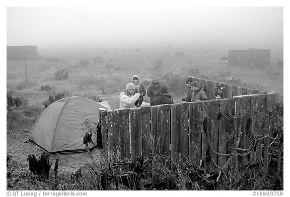Campsite in typical fog, San Miguel Island. Channel Islands National Park (black and white)