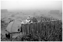 Campsite in typical fog, San Miguel Island. Channel Islands National Park, California, USA. (black and white)