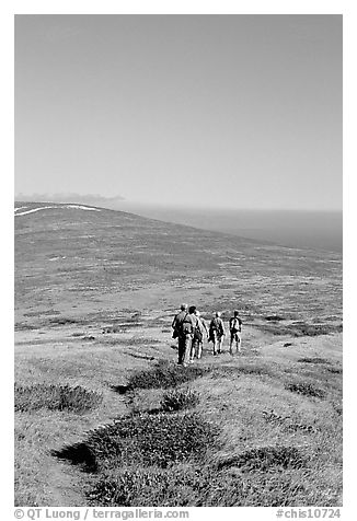Hiking across  island to Point Bennett, San Miguel Island. Channel Islands National Park (black and white)
