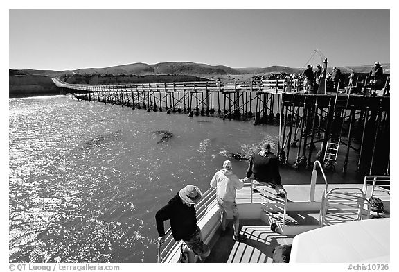 Bechers bay pier, Santa Rosa Island. Channel Islands National Park, California, USA.