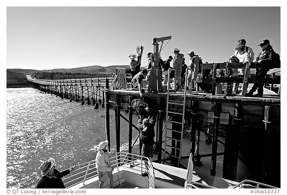 Approaching Bechers Bay pier, Santa Rosa Island. Channel Islands National Park (black and white)