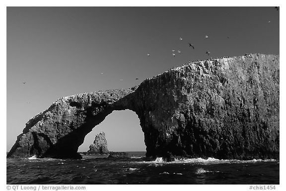 Arch Rock, East Anacapa. Channel Islands National Park (black and white)