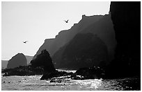 Steep cliffs, East Anacapa. Channel Islands National Park, California, USA. (black and white)