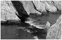 Channel between East Anacapa and Middle Anacapa at low tide. Channel Islands National Park, California, USA. (black and white)