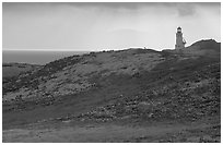 Lighthouse, East Anacapa Island. Channel Islands National Park ( black and white)