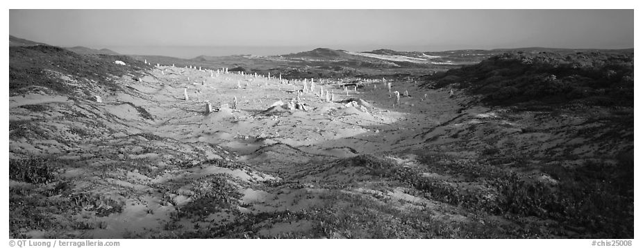 Sandy basin with petrified stumps, San Miguel Island. Channel Islands National Park (black and white)