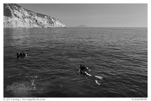 Scuba divers on ocean surface, Santa Cruz Island. Channel Islands National Park, California, USA.