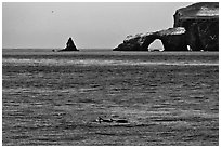 Dolphins and Arch Rock. Channel Islands National Park, California, USA. (black and white)