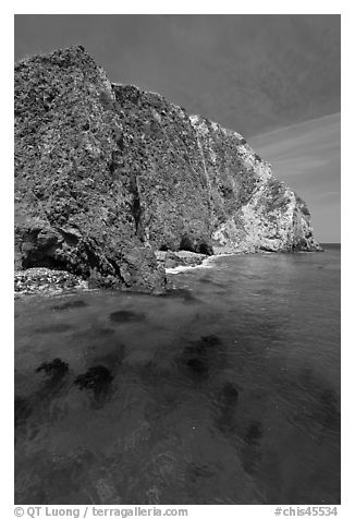 Kelp and cliff, Scorpion Anchorage, Santa Cruz Island. Channel Islands National Park (black and white)