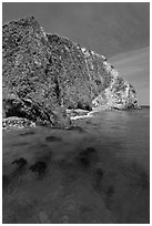 Kelp and cliff, Scorpion Anchorage, Santa Cruz Island. Channel Islands National Park, California, USA. (black and white)