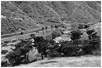 Scorpion Ranch in Scorpion Canyon, Santa Cruz Island. Channel Islands National Park ( black and white)