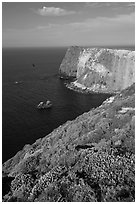 North Bluff, Santa Cruz Island. Channel Islands National Park ( black and white)