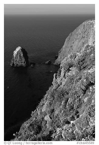 Rock and cliff in springtime, Santa Cruz Island. Channel Islands National Park, California, USA.