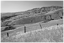 Grasslands, fence and hill ridges, Santa Cruz Island. Channel Islands National Park, California, USA. (black and white)