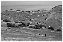 Grasslands in the spring, fence and ocean, Santa Cruz Island. Channel Islands National Park, California, USA. (black and white)