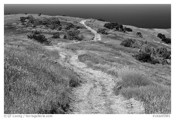 Dirt road through coastal hills, Santa Cruz Island. Channel Islands National Park, California, USA.